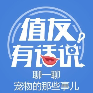值友有话说第27期 曾经的你 最想做什么工作